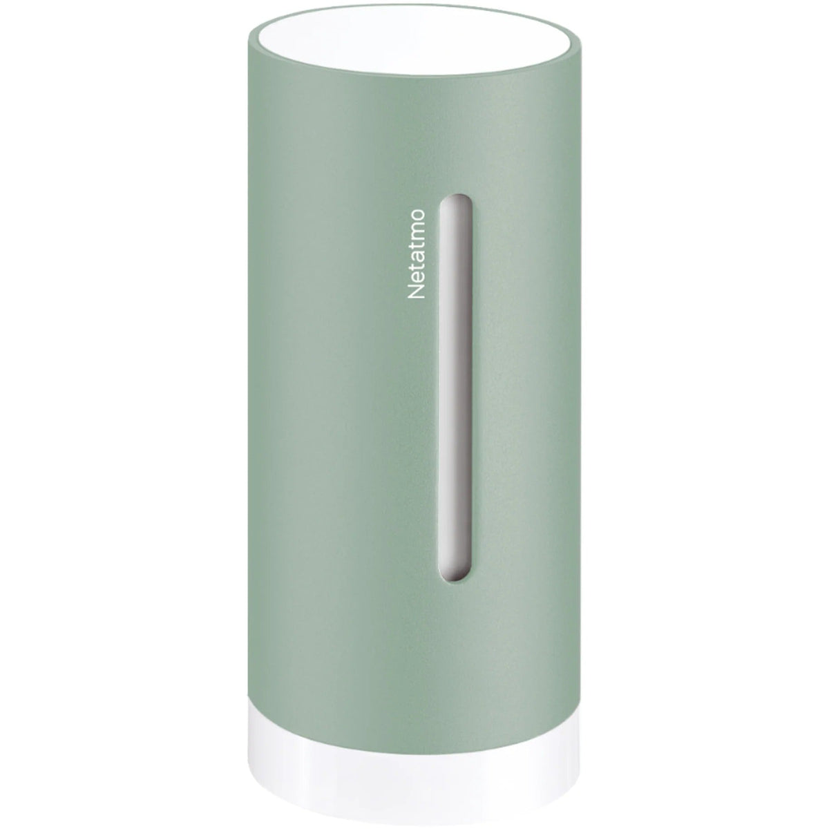 Netatmo NIM-M Mint Internal Module - Smart Home Integration with Wireless Setup