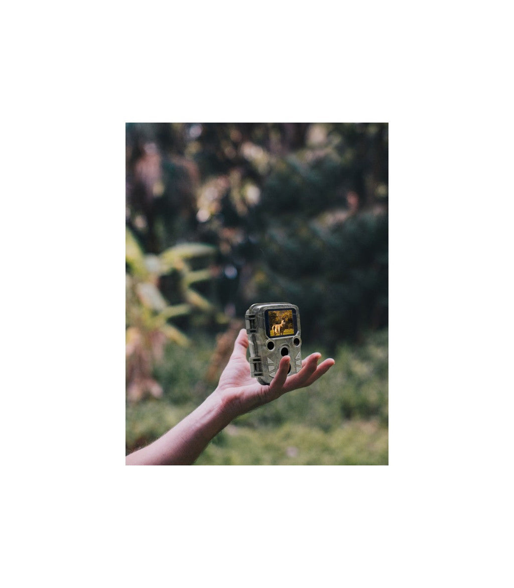 Braun Photo Technik Black800 mini Scouting Cam - 8 MP CMOS - 3840 x 2160 - 60 fps - AVI