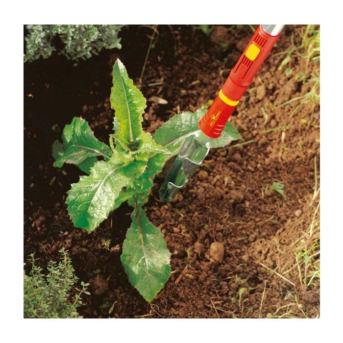 Wolf Garten Thistle Weeder - 4 cm - Multi-Star IW-M - 71AAA022650