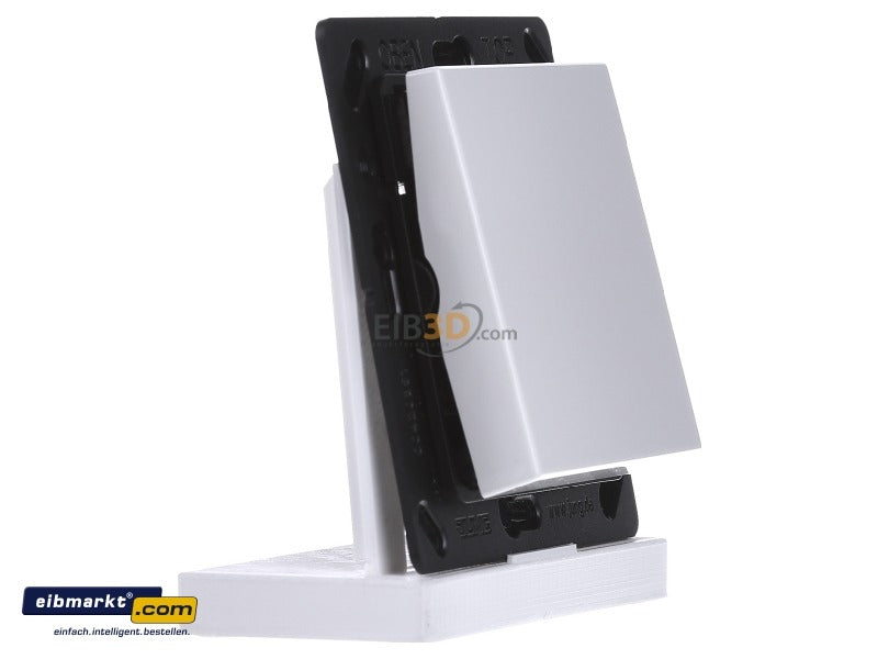 Jung Funk-Water Sender Aws 2-Channel ENO A 590 WW (ENOA590WW)