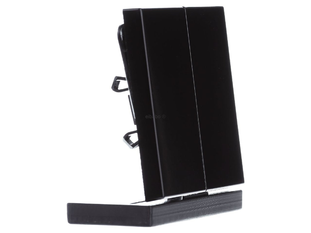 Jung LS 995 SW Switch (LS995SW)