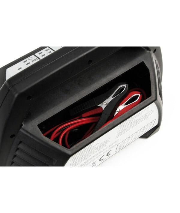 Ansmann ALCT 6-24/10, charger for lead-acid batteries 6V, 12V, 24V (1001-0014)
