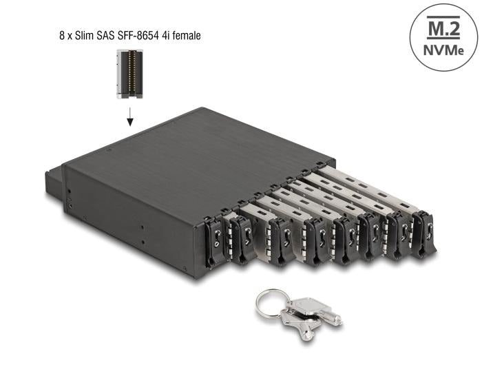 DeLOCK Converter - U.2 SFF-8654 or SATA to 1 x M.2 Key M Slot - 38-pin SFF-8654 4i socket (for PCIe SSDs) - SATA 6 Gb/s 22-pin plug (for SATA SSDs) - 67-pin M.2 Key M Slot (63953)