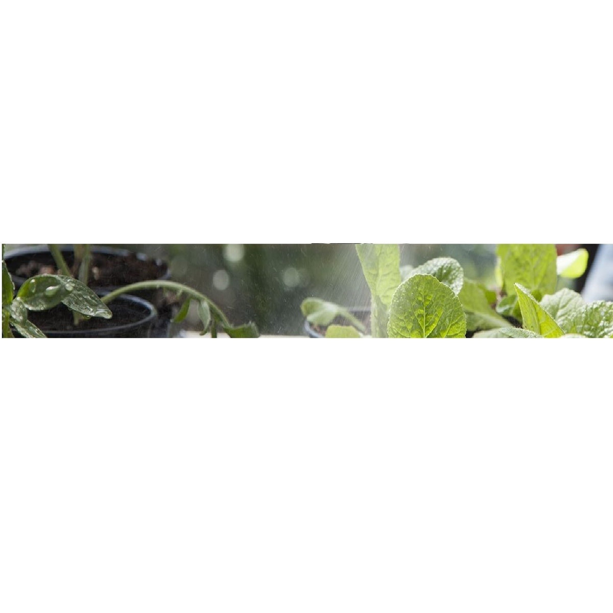 Gardena 02343-20 Accu Shears ClassicCut ComfortCut 180 mm (02343-20)