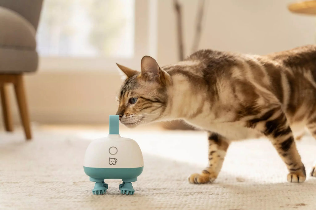 Beurer PP 410 Buddy Massage Device - Gentle Kneading for Pets - Ergonomic Design