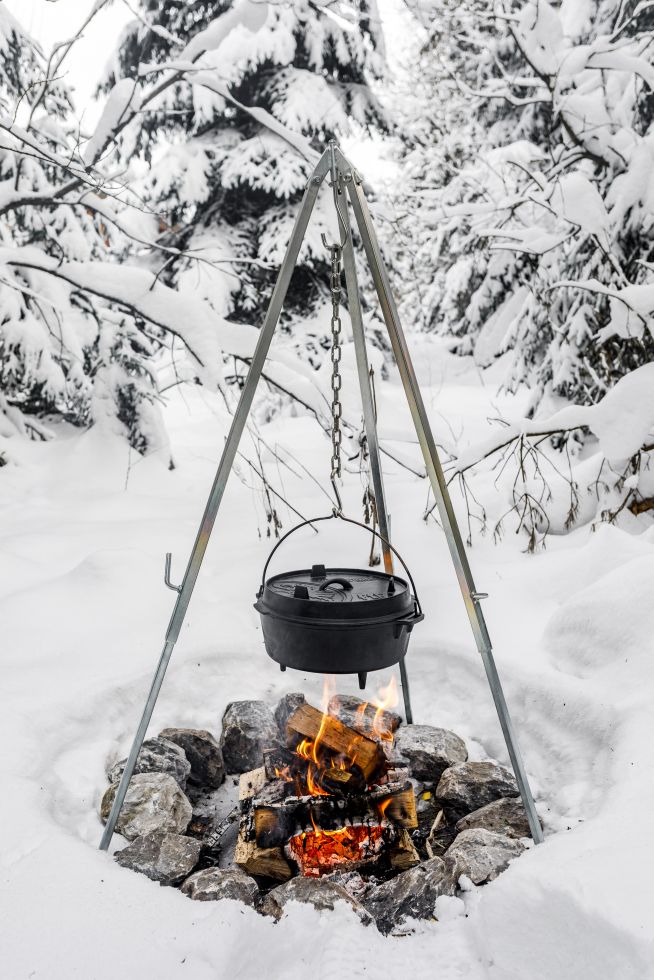 Petromax Charcoal Tripod Grill D1 Foldable Silver (d1)