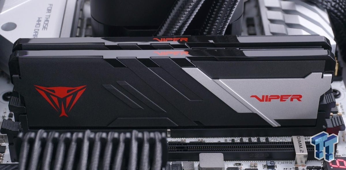 PATRIOT DDR5 PC5600 8GB 1x8 Memory Module - Signature Line (PSD58G560081)