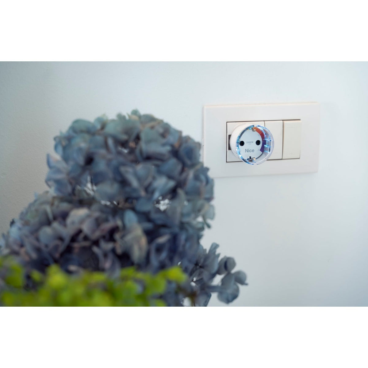 Nice Plug-Control F Smart Socket (Plug-Control F 868.4 MHz)