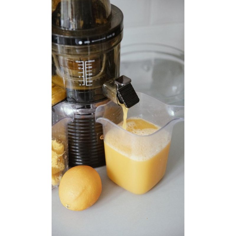 4SWISS Slow Juicer Black | Model 46525