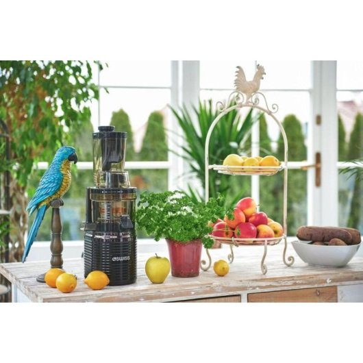 4SWISS Slow Juicer Black | Model 46525