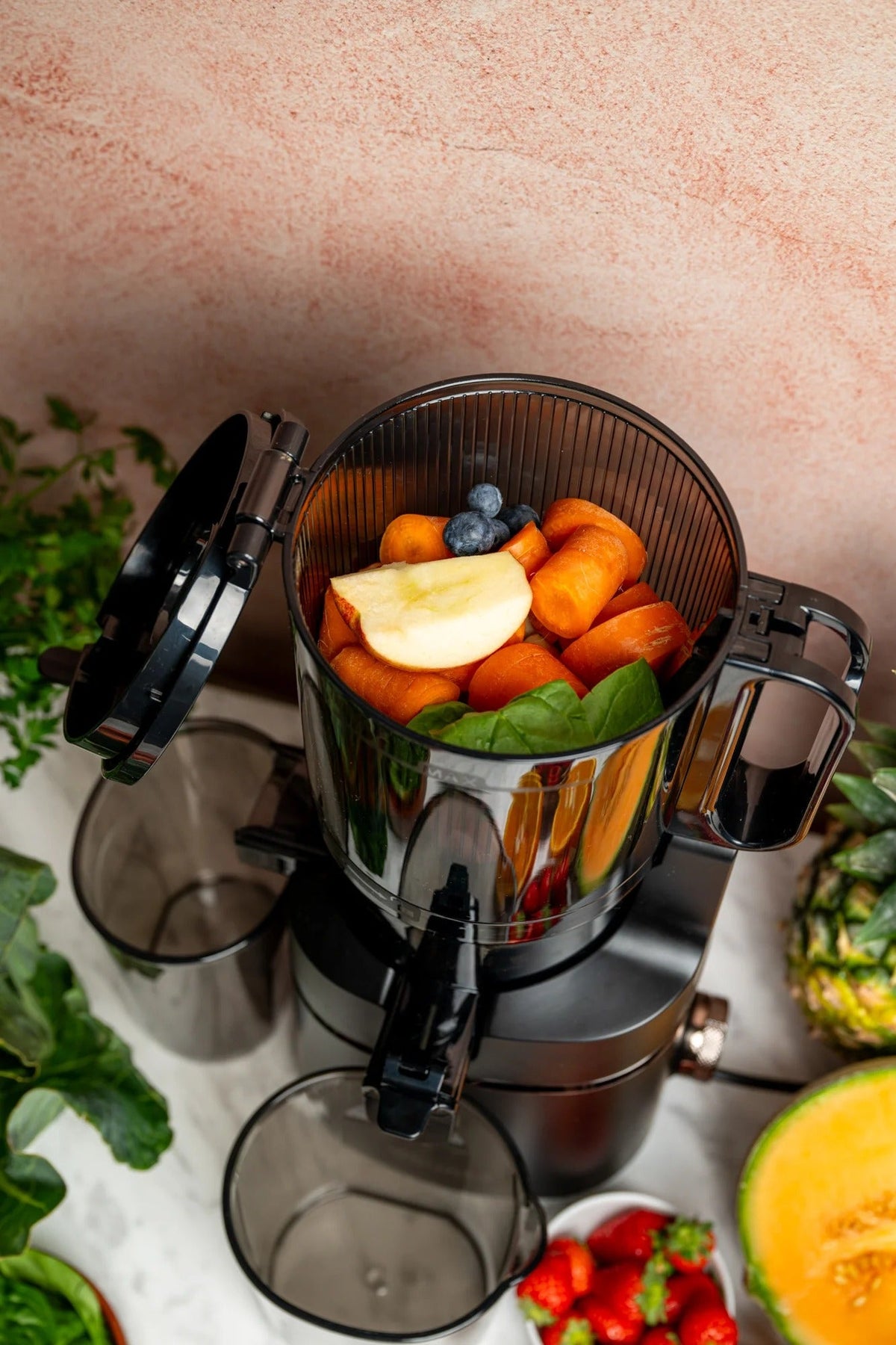 4SWISS Slow Juicer WB025 | Model 46526
