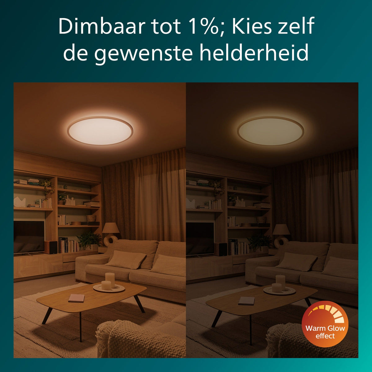 Philips Valen Ceiling Light 32W