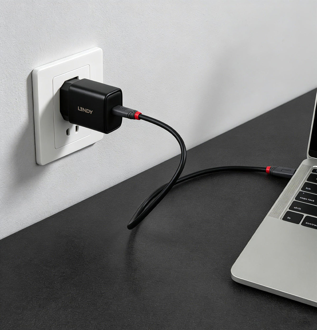 Lindy 65W USB Type C GaN Charger 73448