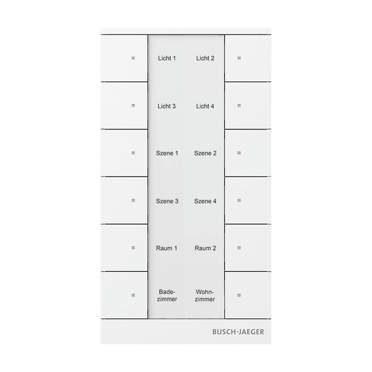 Busch-Jaeger Control Element White | Model 2CKA006220A0887