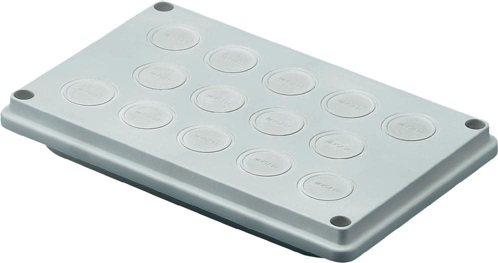 Rittal SV Cable Entry Plate Module 9665.770