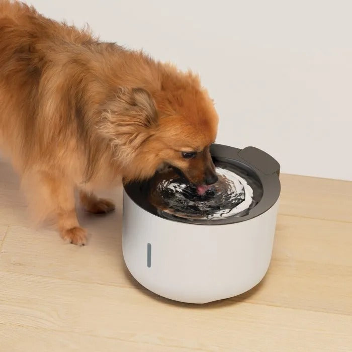 Zeus OASIS Dog Drinking Fountain 3ltrs