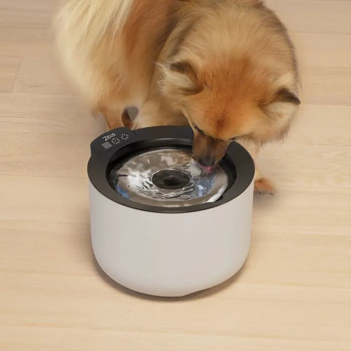 Zeus OASIS PLUS - Smart Dog Drinking Fountain 3ltr