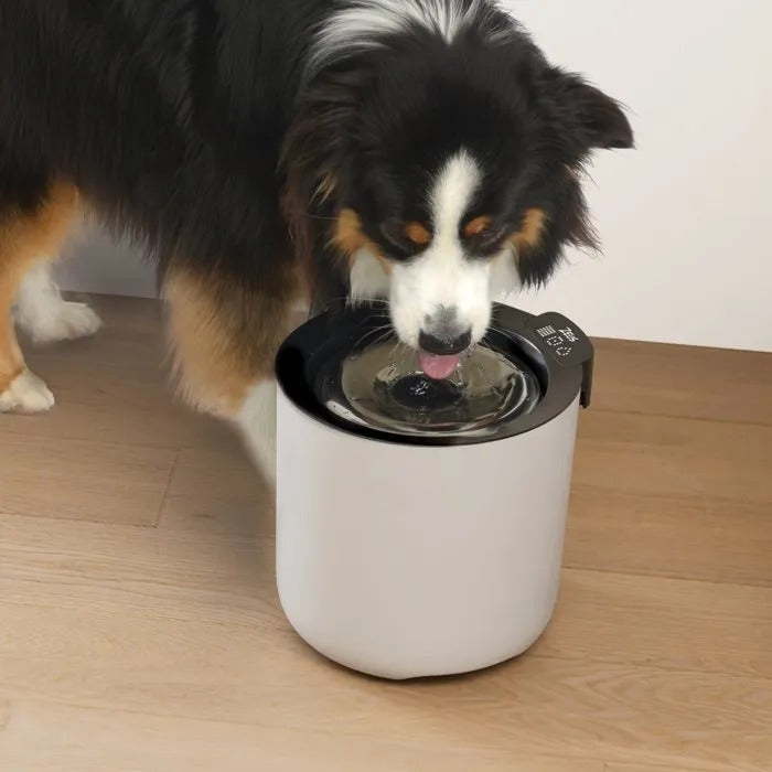 Zeus Oasis Plus Slimme drinkfontein voor honden