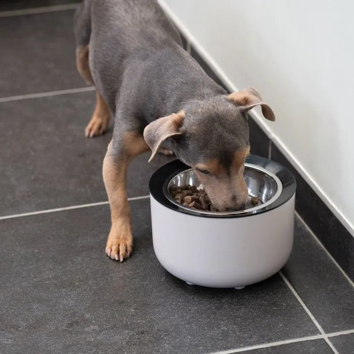Gamelle lestée pour chiens - ZEUS Oasis Capacité 570 mL