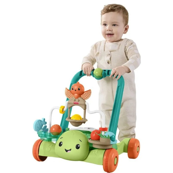 Fisher-Price Moves with You Schildpad loopwagentje - met 5 ballen