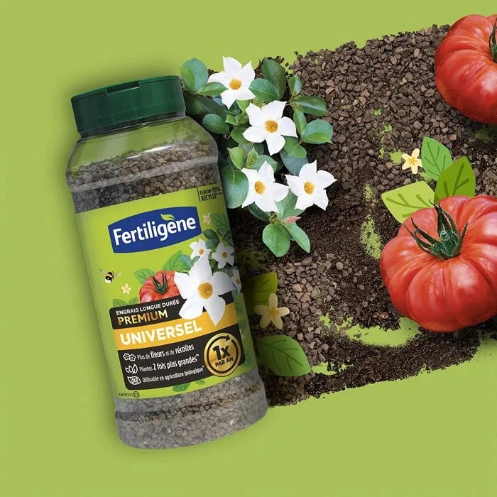 FERTILIGENE Fertilizer 664 g for Gardening
