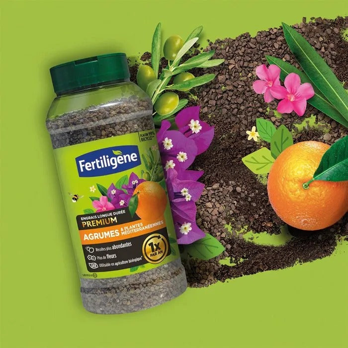 FERTILIGENE Fertilizer 666 g for Garden and Swimming Pool