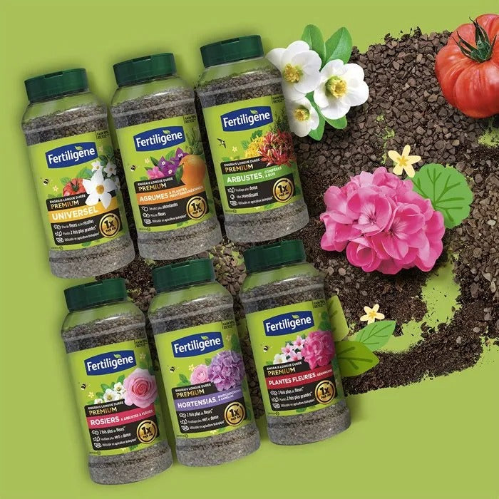 FERTILIGENE Fertilizer 666 g for Garden and Swimming Pool