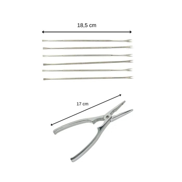 FACKELMANN Fruit Seafood Service Set - 25x30x8 cm - 356 g