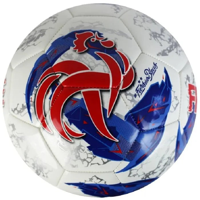FFF Soccer Ball - 500 g - 23x20x5 cm