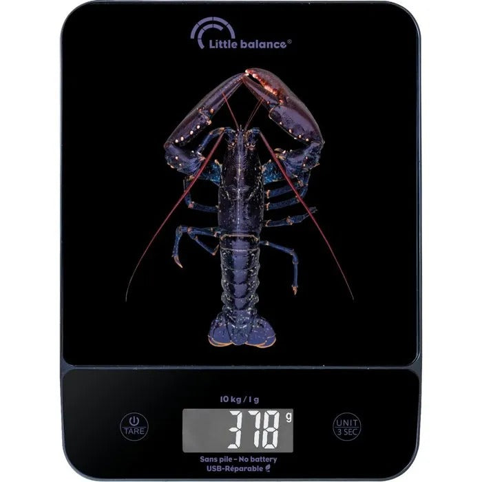 LITTLE BALANCE Electronic Food Scale 19 cm x 25 cm x 4 cm - 600 g