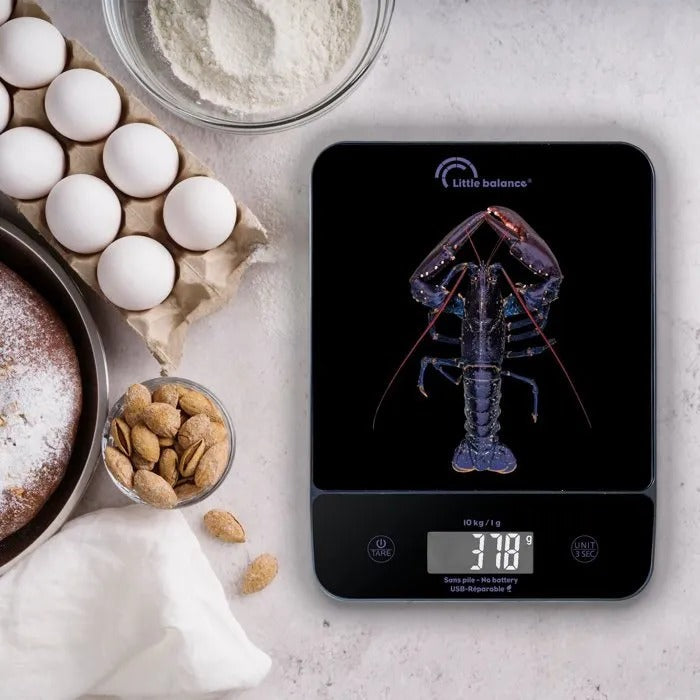 LITTLE BALANCE Electronic Food Scale 19 cm x 25 cm x 4 cm - 600 g
