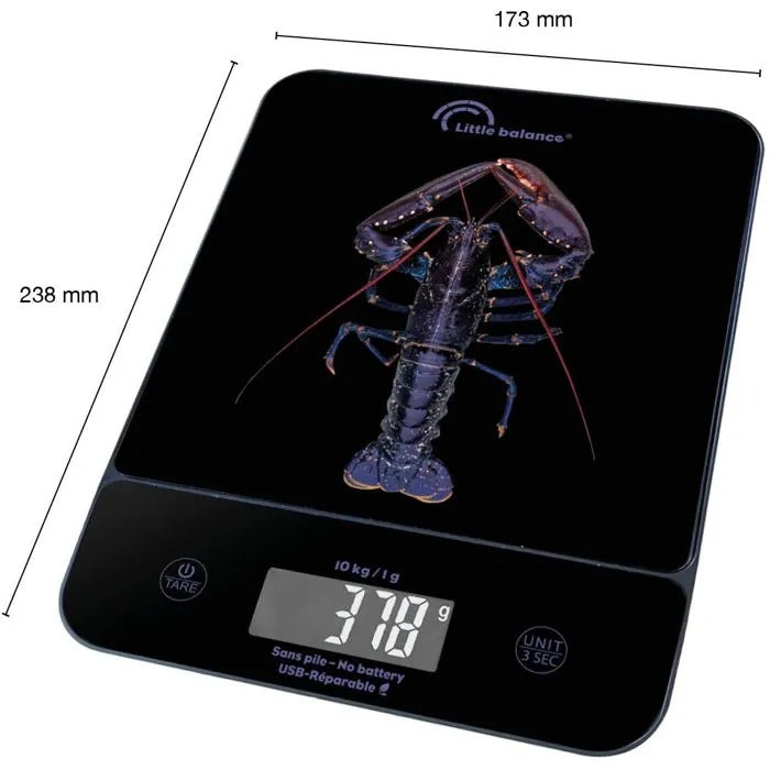 LITTLE BALANCE Electronic Food Scale 19 cm x 25 cm x 4 cm - 600 g