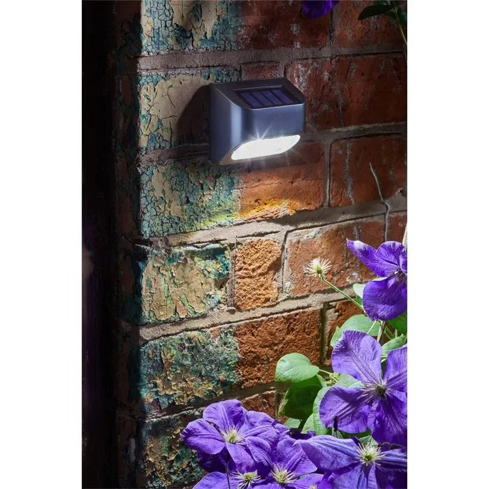 Octopia Outdoor Spot Light - GARDEN - SWIMMING POOL
