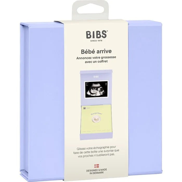 BIBS Mixed Baby Gift Box - 18x16x6 cm - 159 g