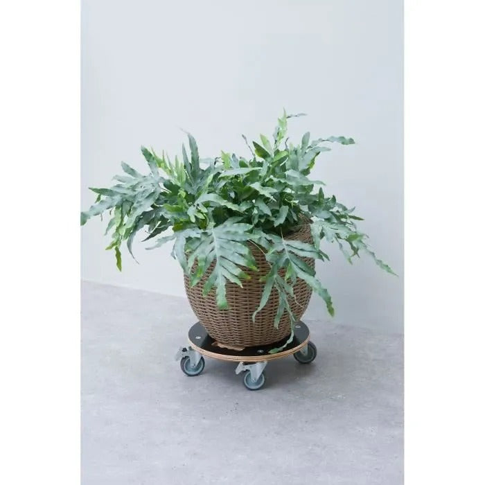 NATURE Square Rolling Plant Pot Stand - FSC Wood - Max Load 250 kg