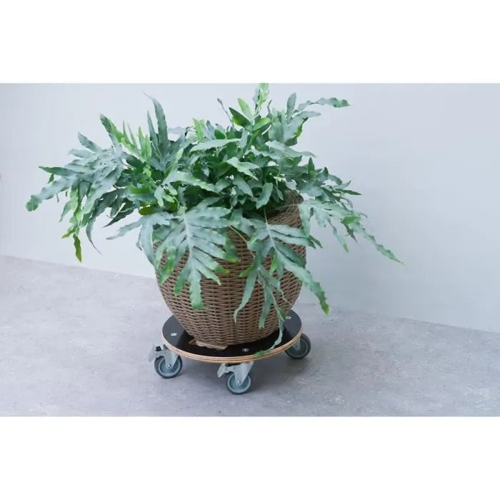 NATURE Square Rolling Plant Pot Stand - FSC Wood - Max Load 250 kg