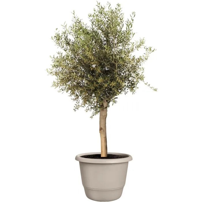 ELHO Flower Pot - 56 x 56 x 42 cm - 1570 g
