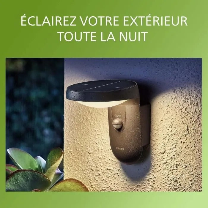 PHILIPS Outdoor Wall Light 22 cm x 18 cm x 20 cm - 960 g